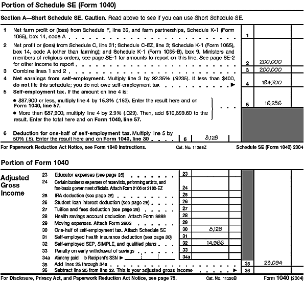 Portion of Form 1040 and Portion of Schedule SE